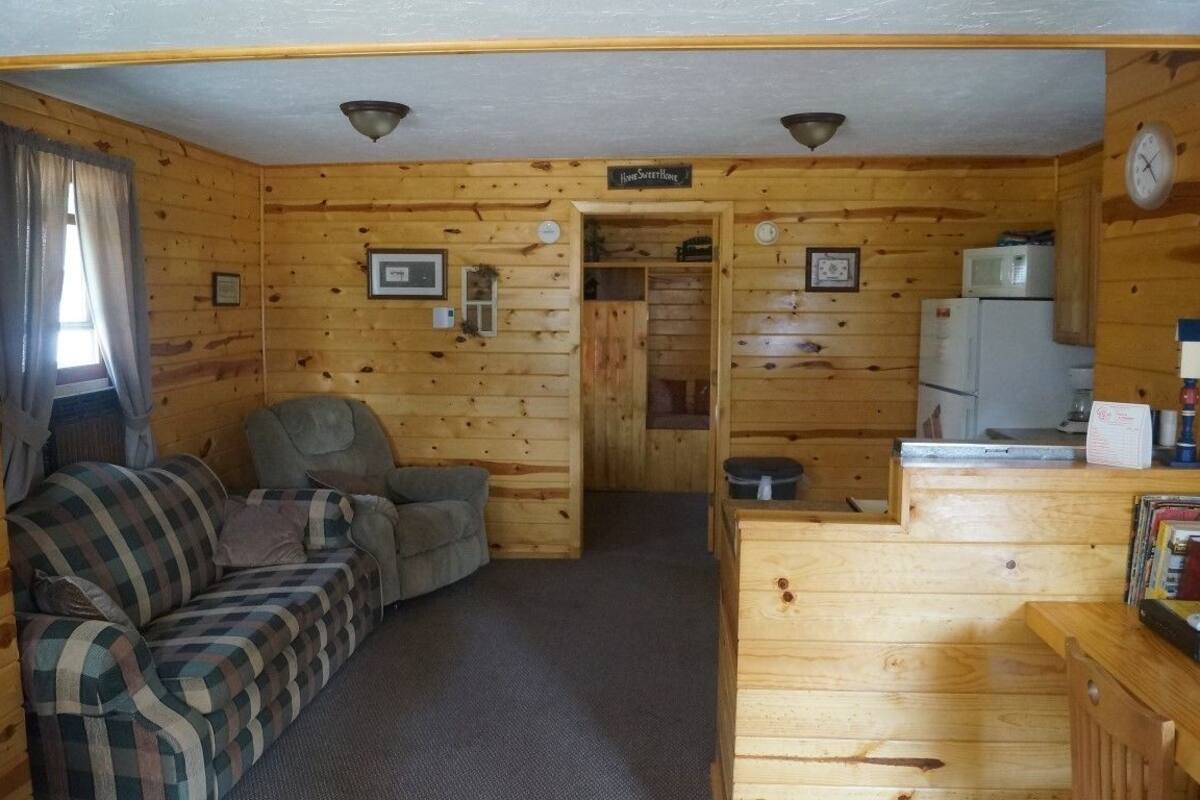 Cabin 4, lakeview, 1 room | Living area | Flat-screen TV, DVD player