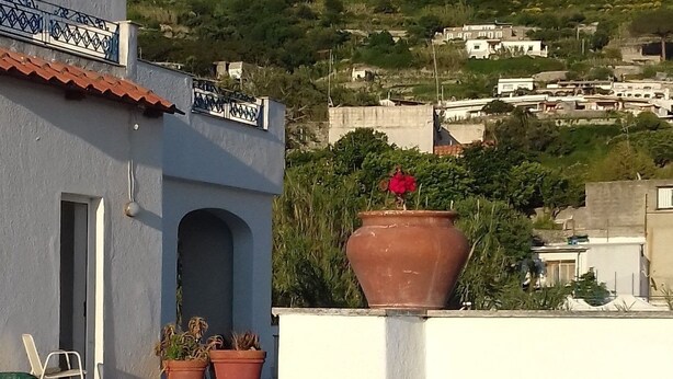 Une terrasse sur le toit, agrémentée de plantes en pot, d’où l’on peut admirer une colline parsemée de bâtiments.