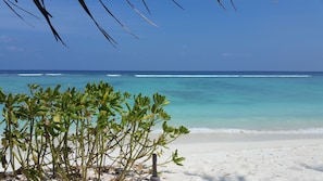 Una playa con agua turquesa cristalina y arena blanca. Hay plantas verdes en primer plano.