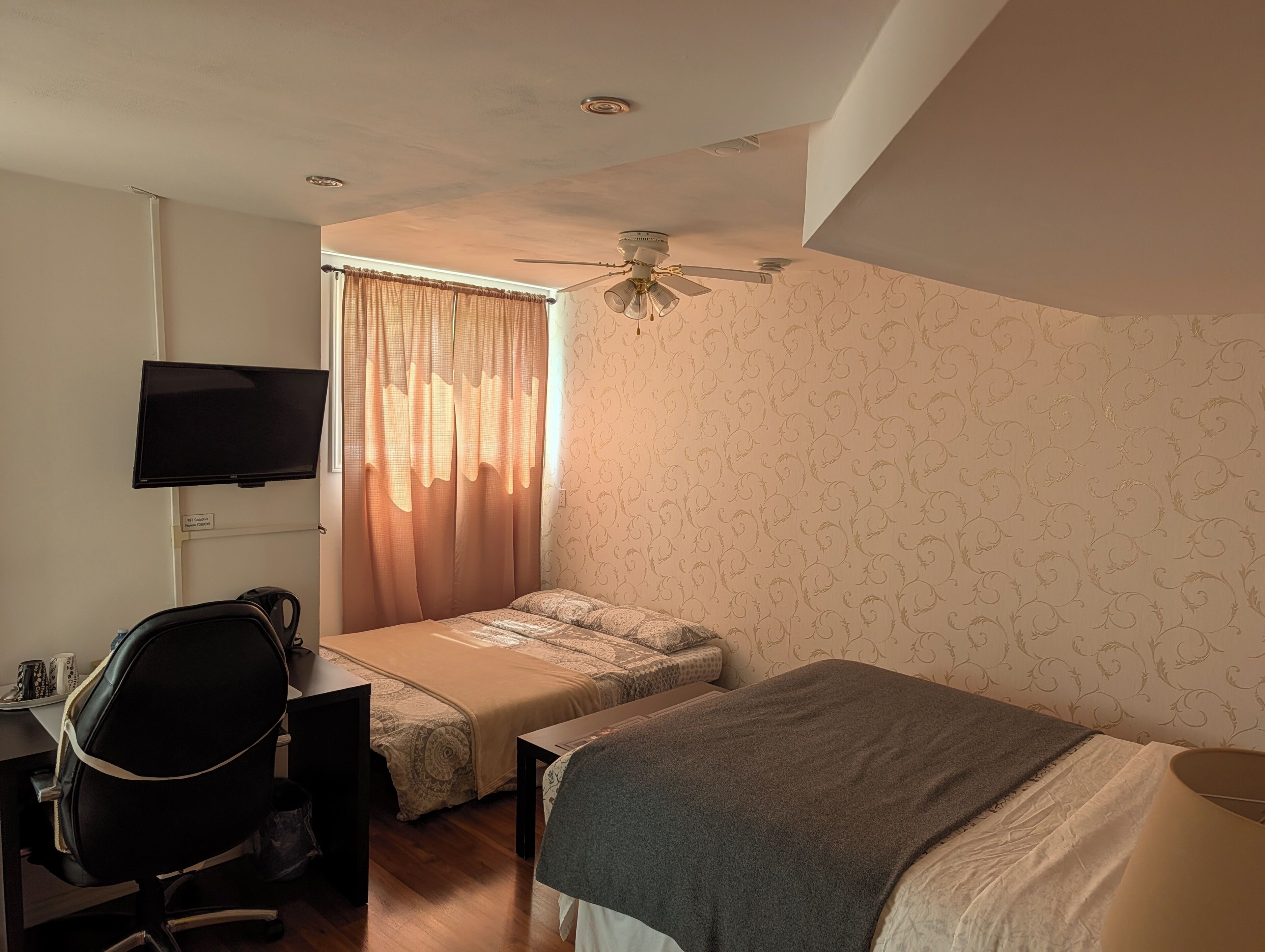 A bedroom with a bed, a desk, a chair, a television, and a ceiling fan.