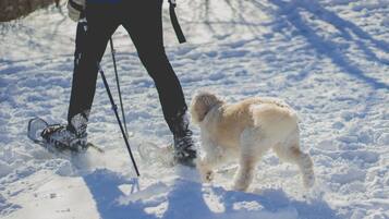A person in a blue jacket and black pants standing in snow with a dog.