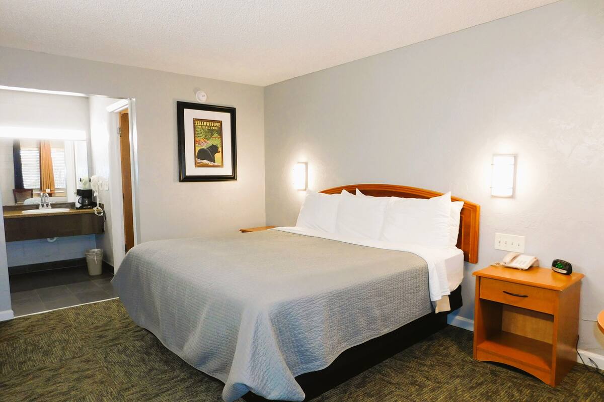 Room, 1 King Bed, Non Smoking