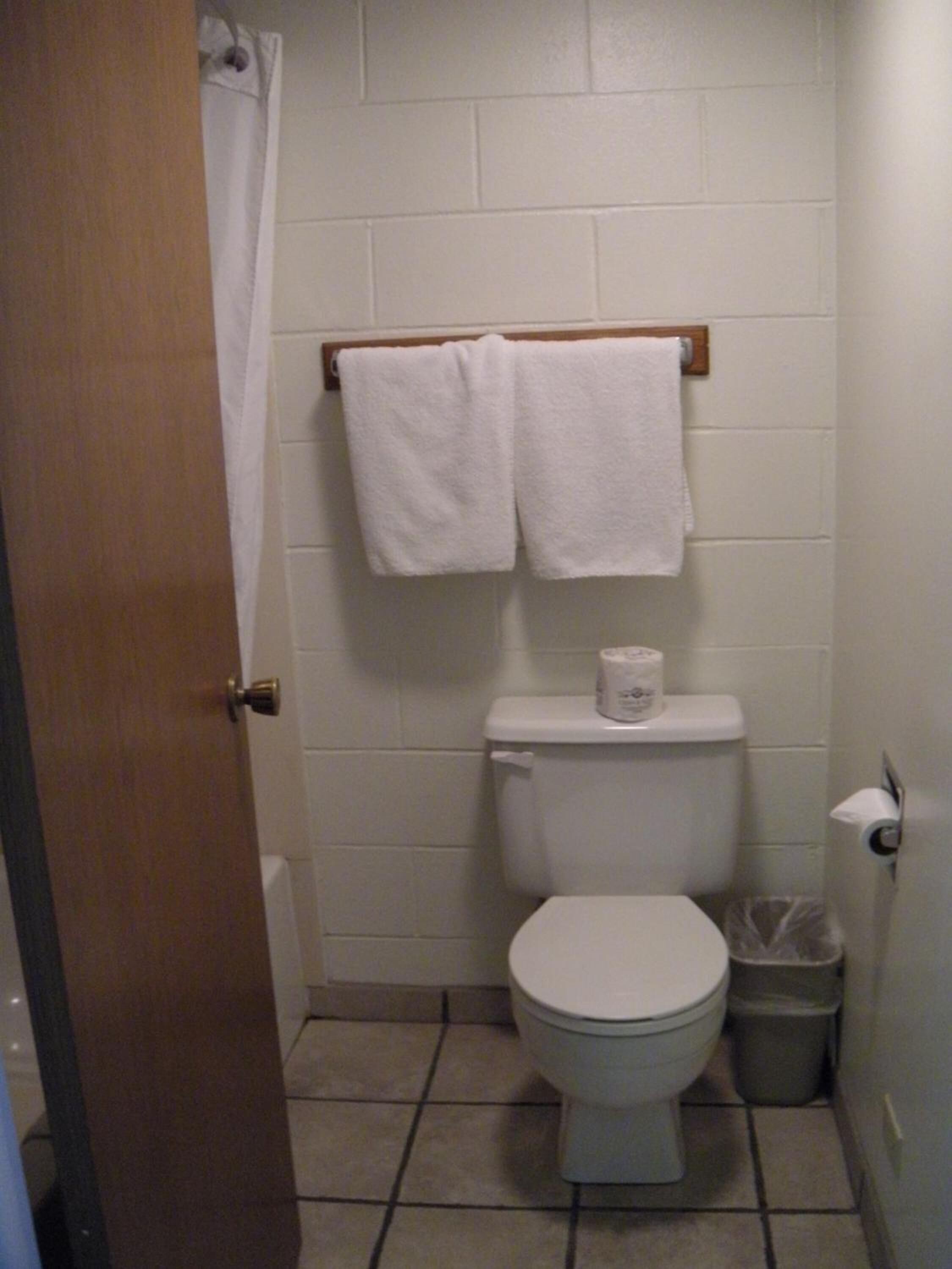 Un baño pequeño y limpio con inodoro, un rollo de papel higiénico, un cubo de basura y un perchero con dos toallas blancas.