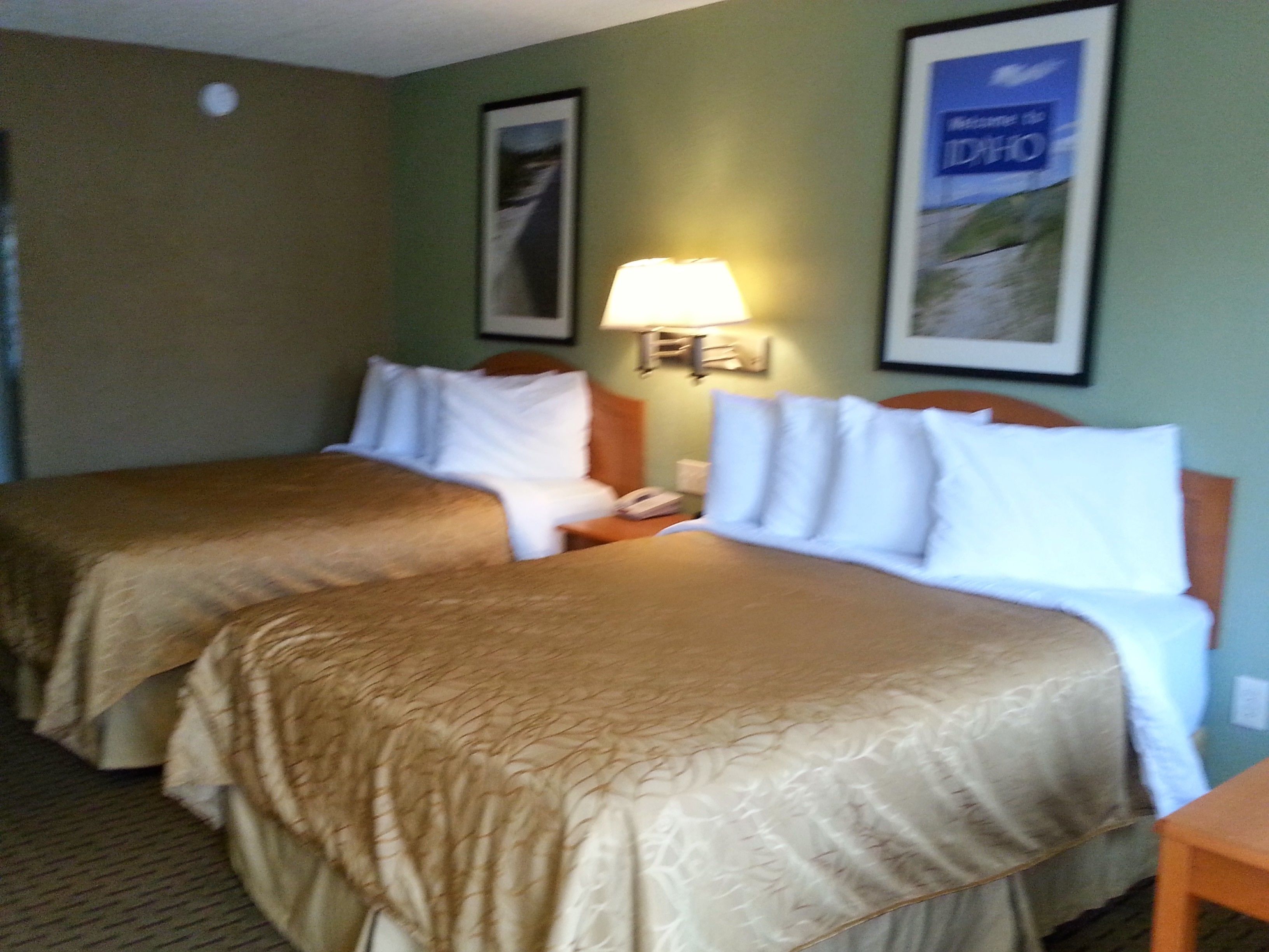 A hotel room with two beds, a nightstand, a lamp, and framed pictures on the walls.