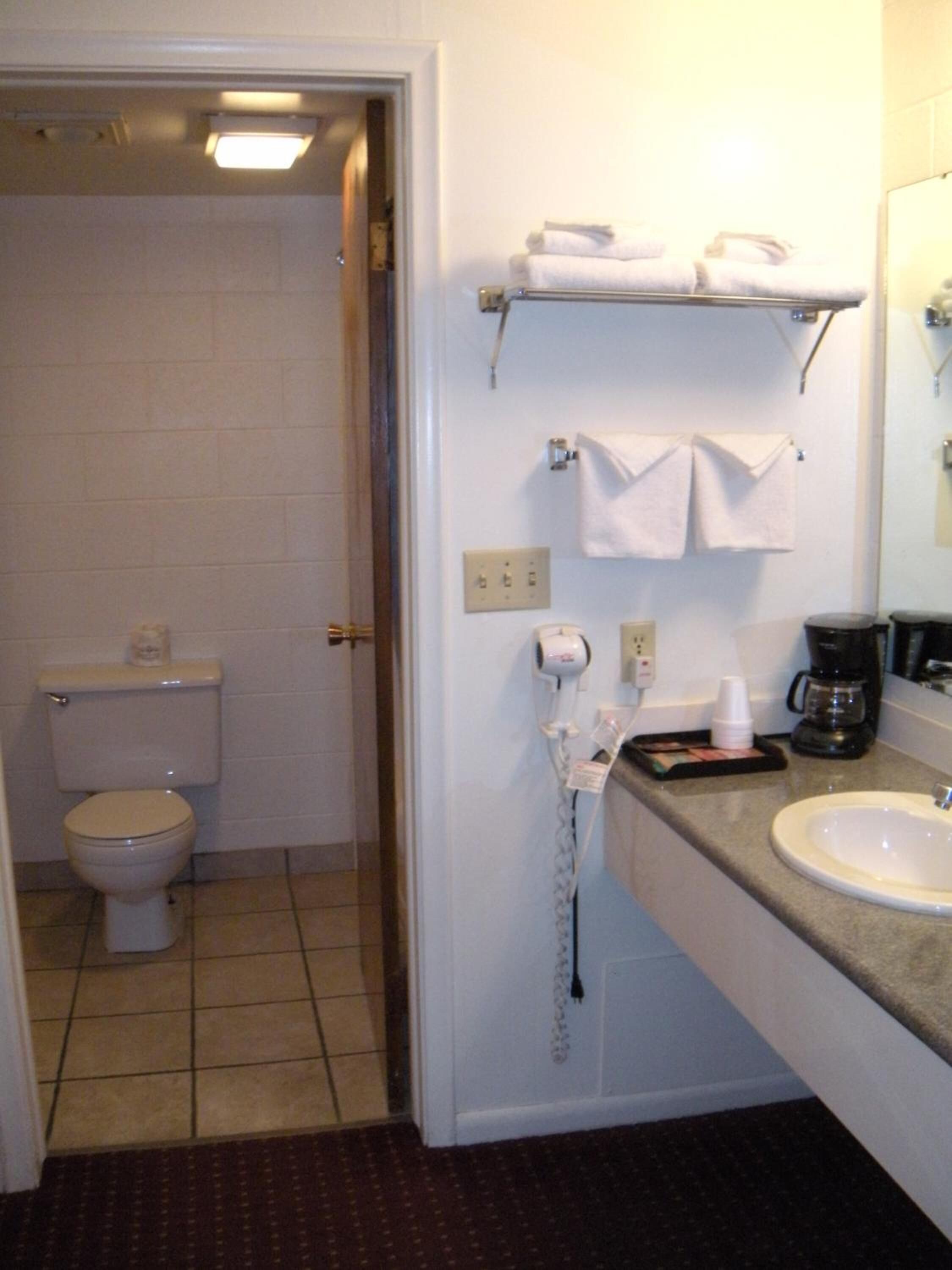 A bathroom with a toilet, a sink, a hairdryer, and a coffee maker.
