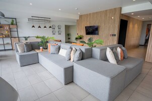 32-英寸液晶电视 （配备数码频道）、电视