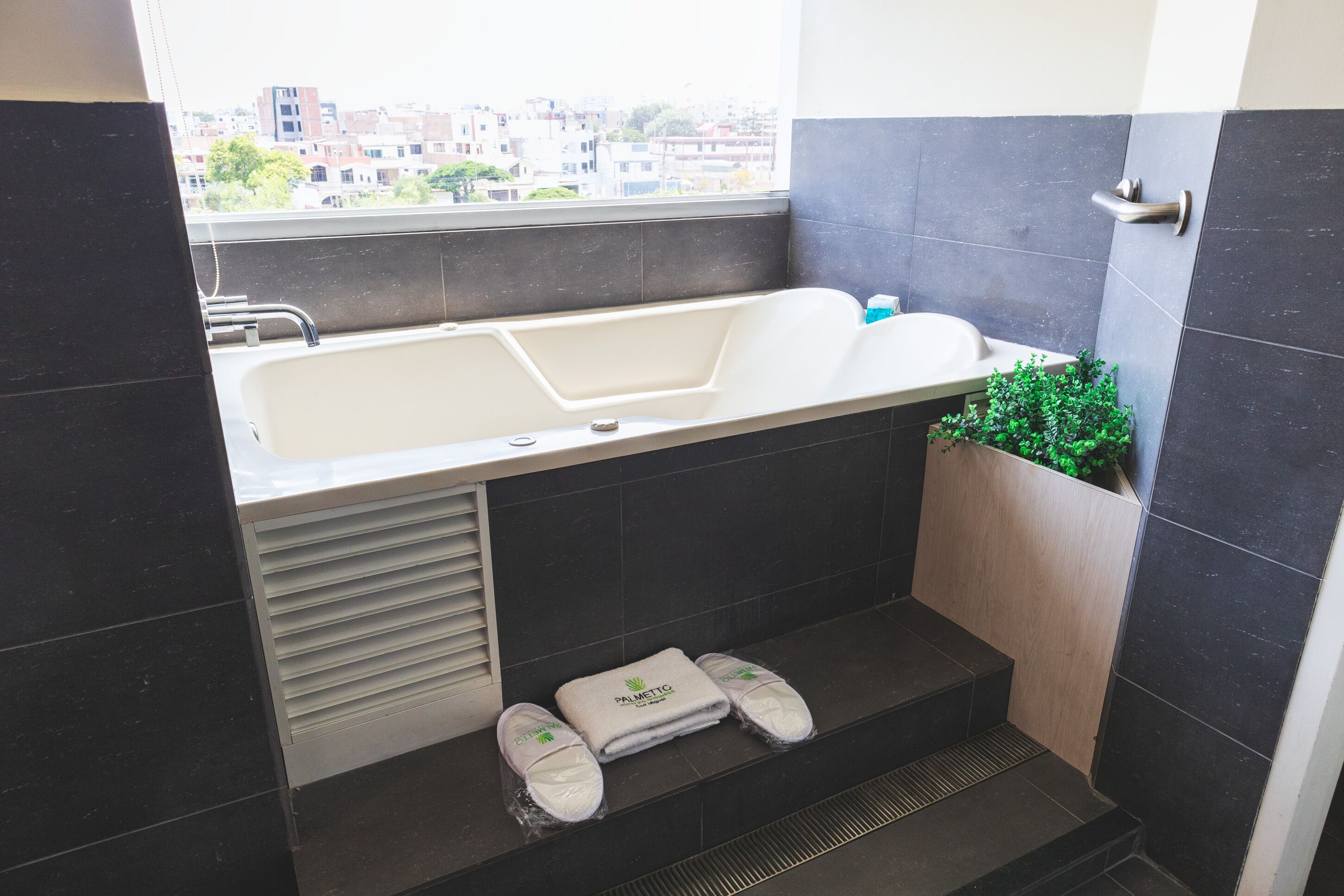 Un baño con bañera, ventana y una pequeña planta.