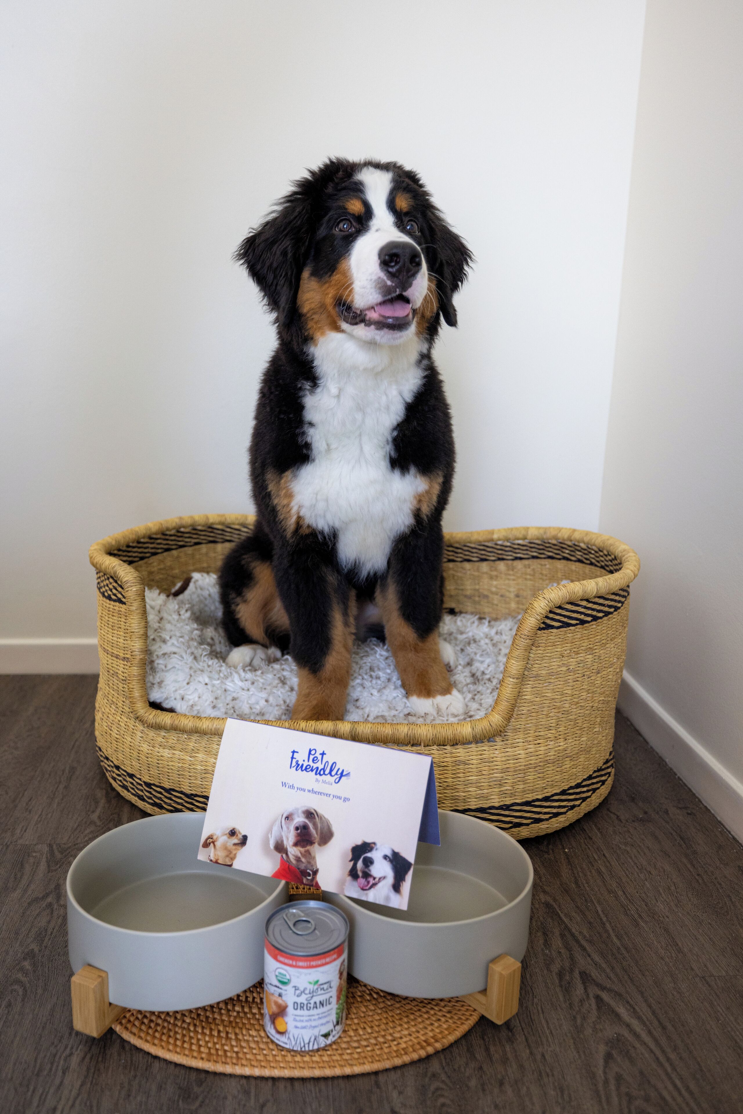 Photo - INNSiDE by Meliá New York Nomad