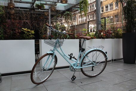 INNSiDE by Melia New York Nomad - Image 14