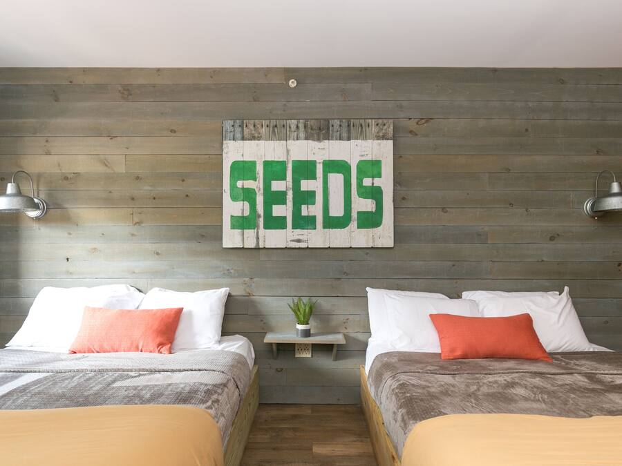 A room with two beds, each with white and orange pillows, a small nightstand with a plant, and a wall-mounted sign that reads "SEEDS".
