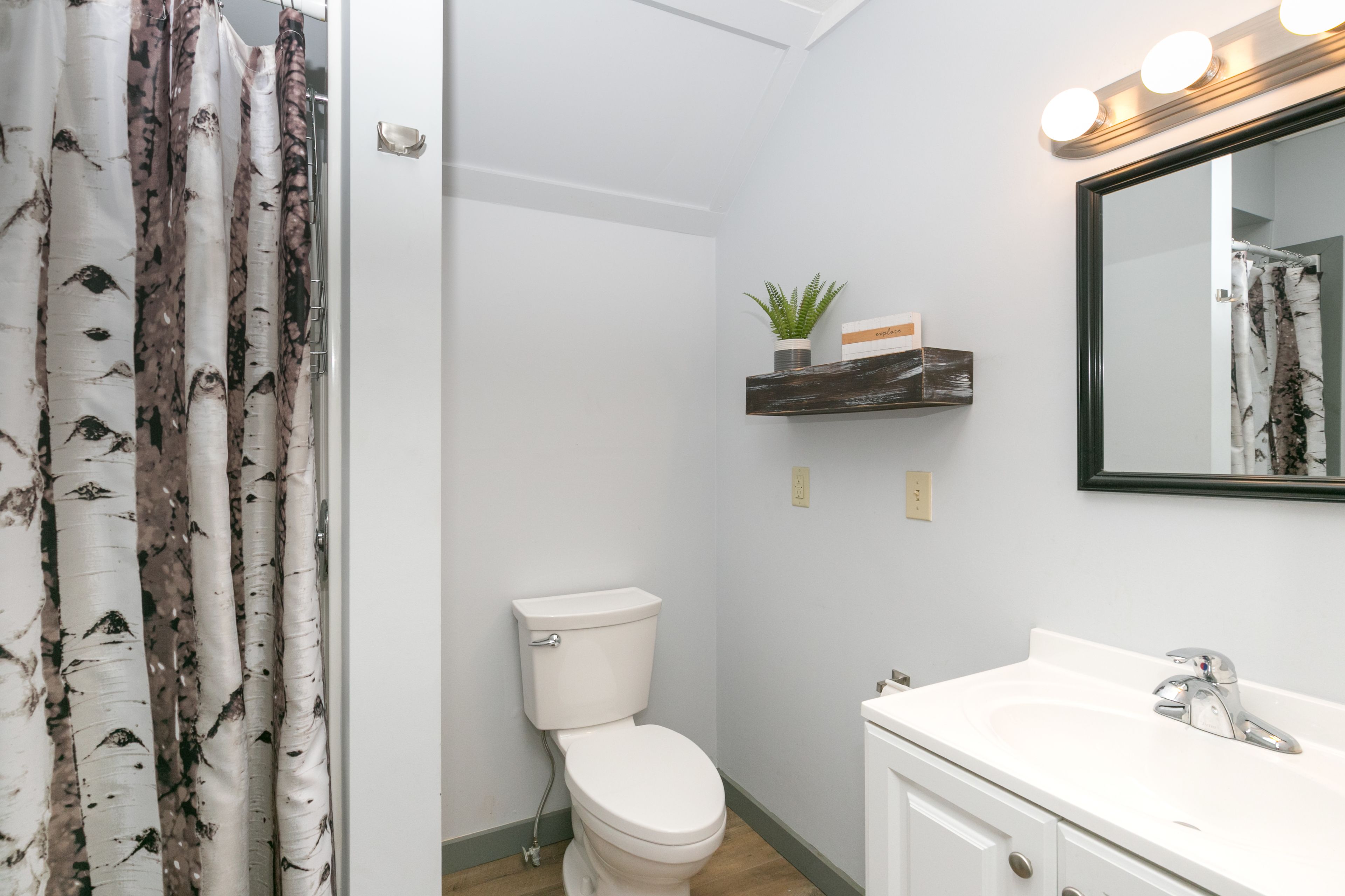 Une salle de bain comprenant des toilettes, un lavabo, un miroir et une étagère sur laquelle est posée une plante.