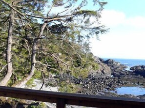 Superior House, 3 Bedrooms, Ocean View, Oceanfront | View from room - Black Rock Beach House (Ucluelet)