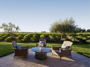 Deluxe Suite, Accessible, Terrace (Vineyard) | Terrace/patio