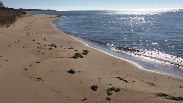 Een zanderig strand met voetafdrukken en schaarse begroeiing, dat uitloopt in kalm water onder een heldere lucht.