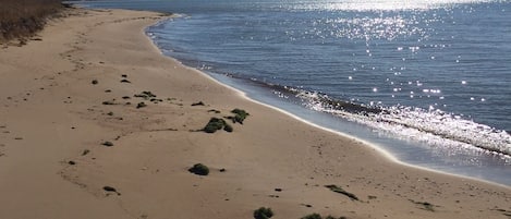 بحيرة