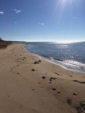 Ein Sandstrand mit Fußabdrücken und vereinzelter Vegetation, der zu ruhigem Wasser unter blauem Himmel führt.