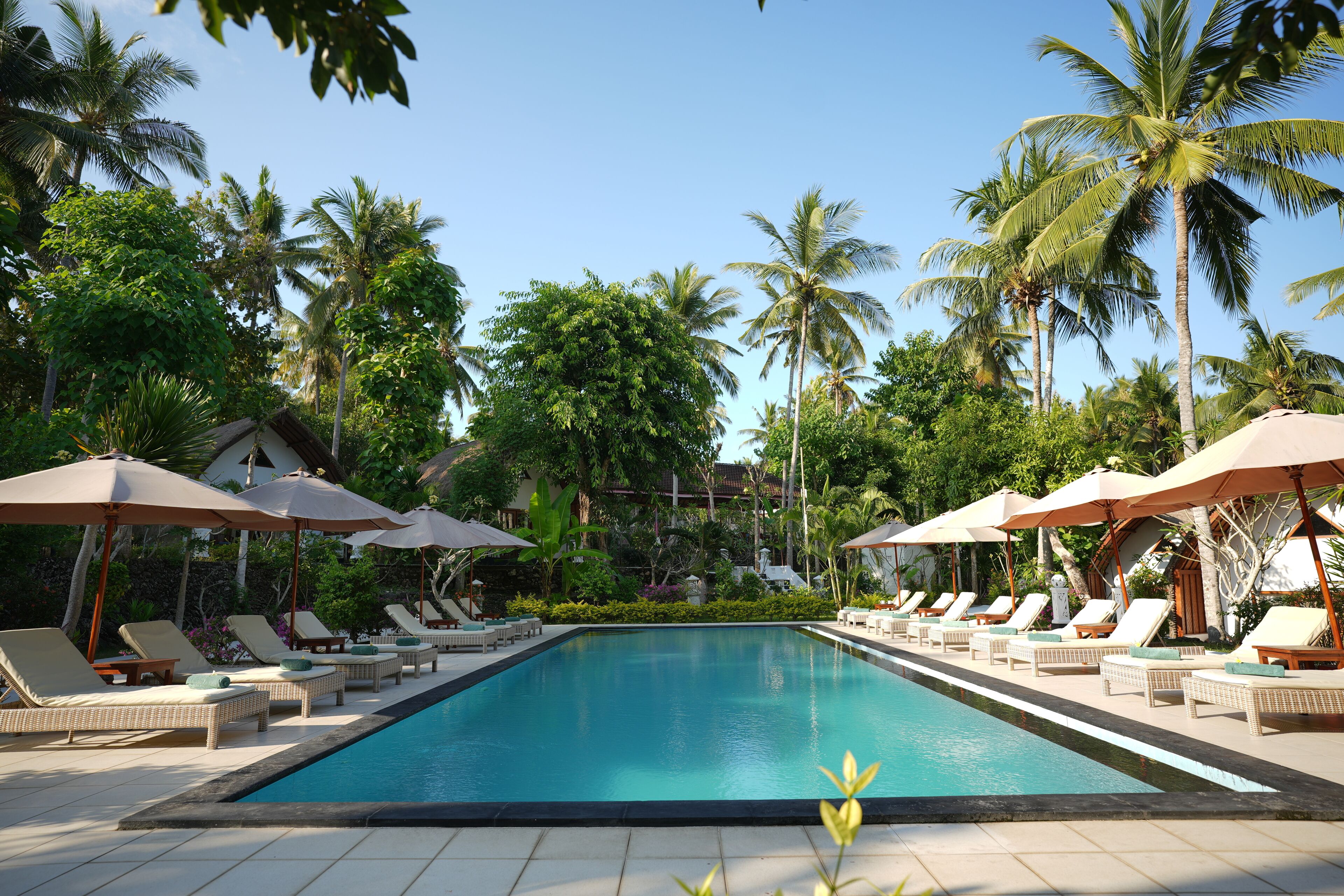 Servicio de la propiedad