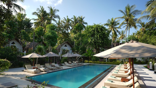 Una piscina con sillones de descanso y sombrillas, rodeada de palmeras y un jardín tropical.
