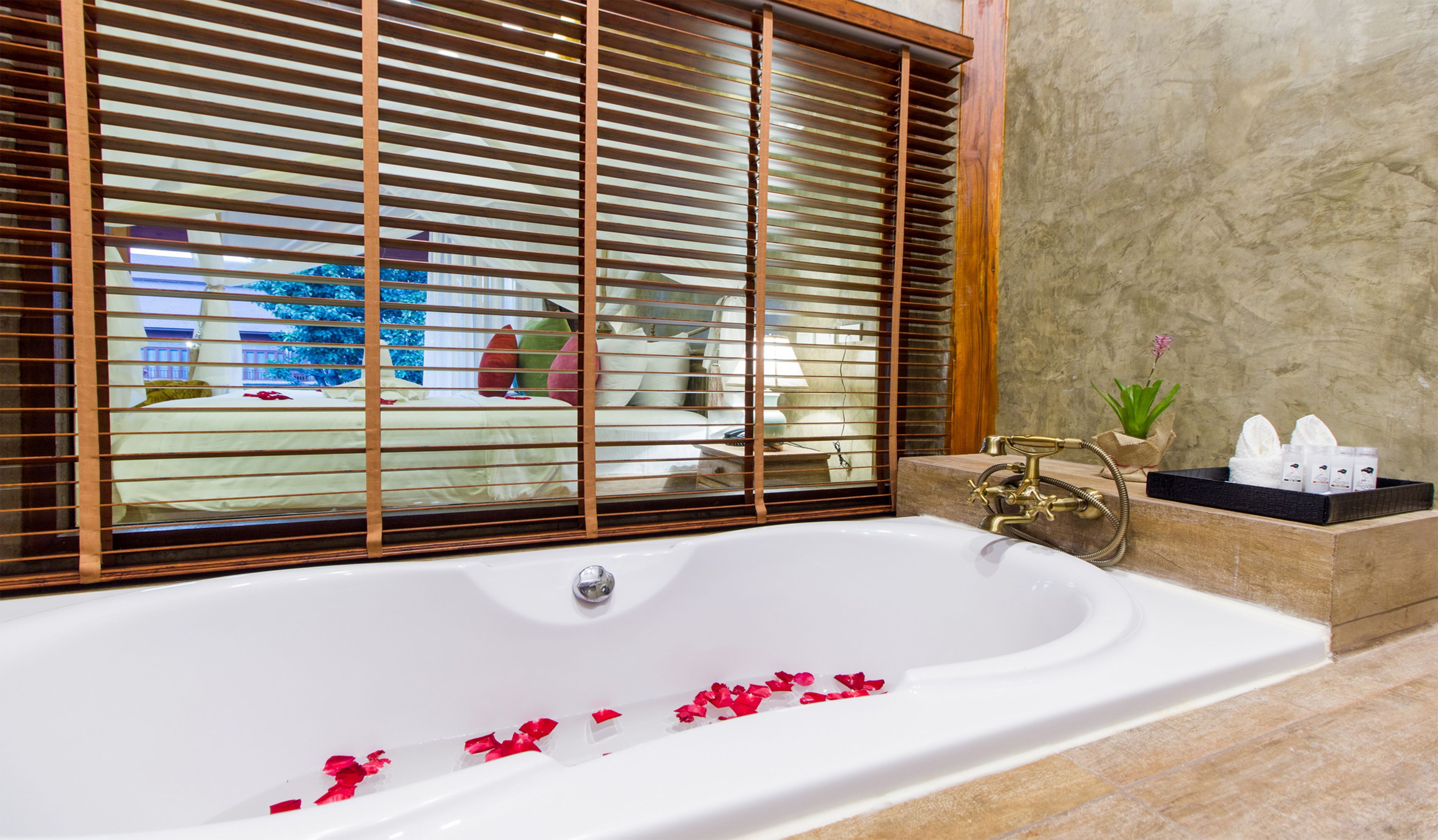 executive room | deep-soaking bathtub