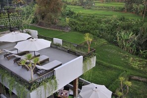 View from property - Puri Padma Hotel (Ubud)