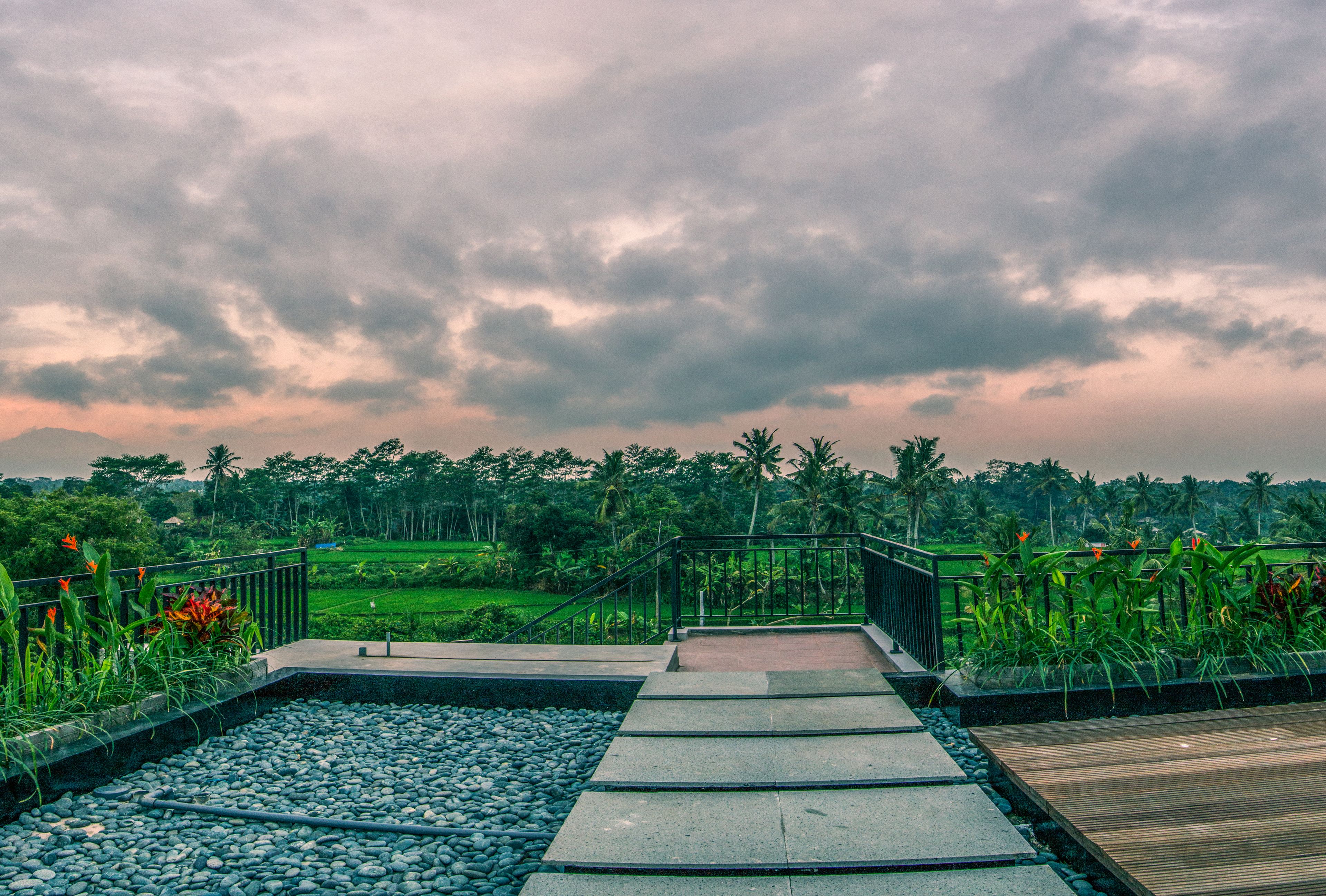 Photo - Puri Padma Hotel