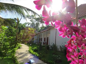Unclassified image, 3 of 30, button - Highland Bungalow (Phu Quoc)