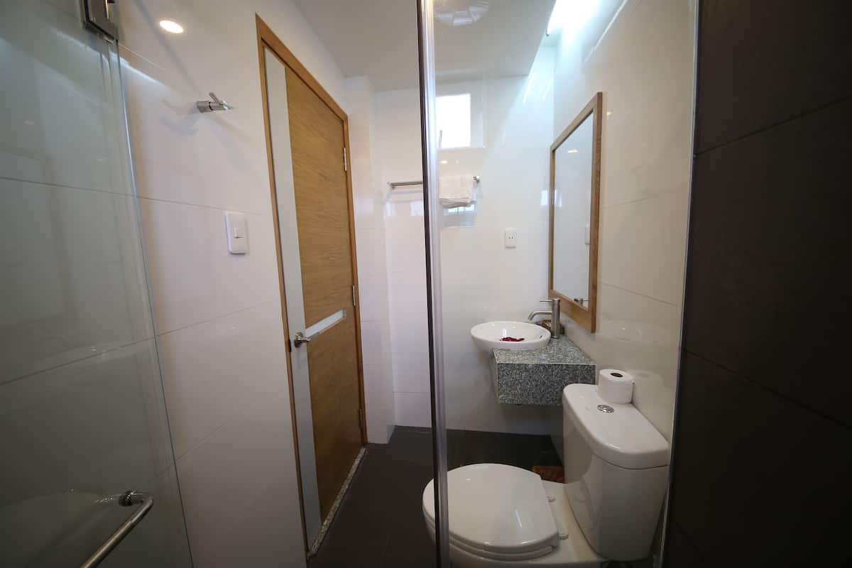 A bathroom with a glass shower enclosure, a wooden door, a white toilet, and a granite countertop sink.