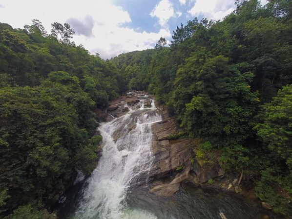 A waterfall cascading down a rocky cliff surrounded by dense green forest. - Palmstone Retreat - Kithulgala (Kithulgala)