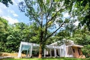 Una casa moderna con un gran árbol en primer plano, rodeada de abundante vegetación.