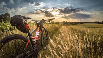 Ciclismo