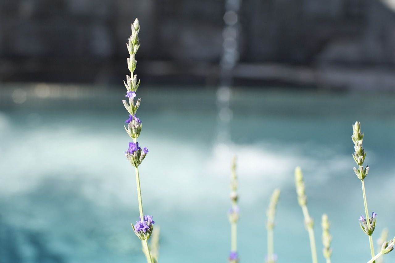 Photo - Boord Guest House