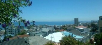 Kloof Palms