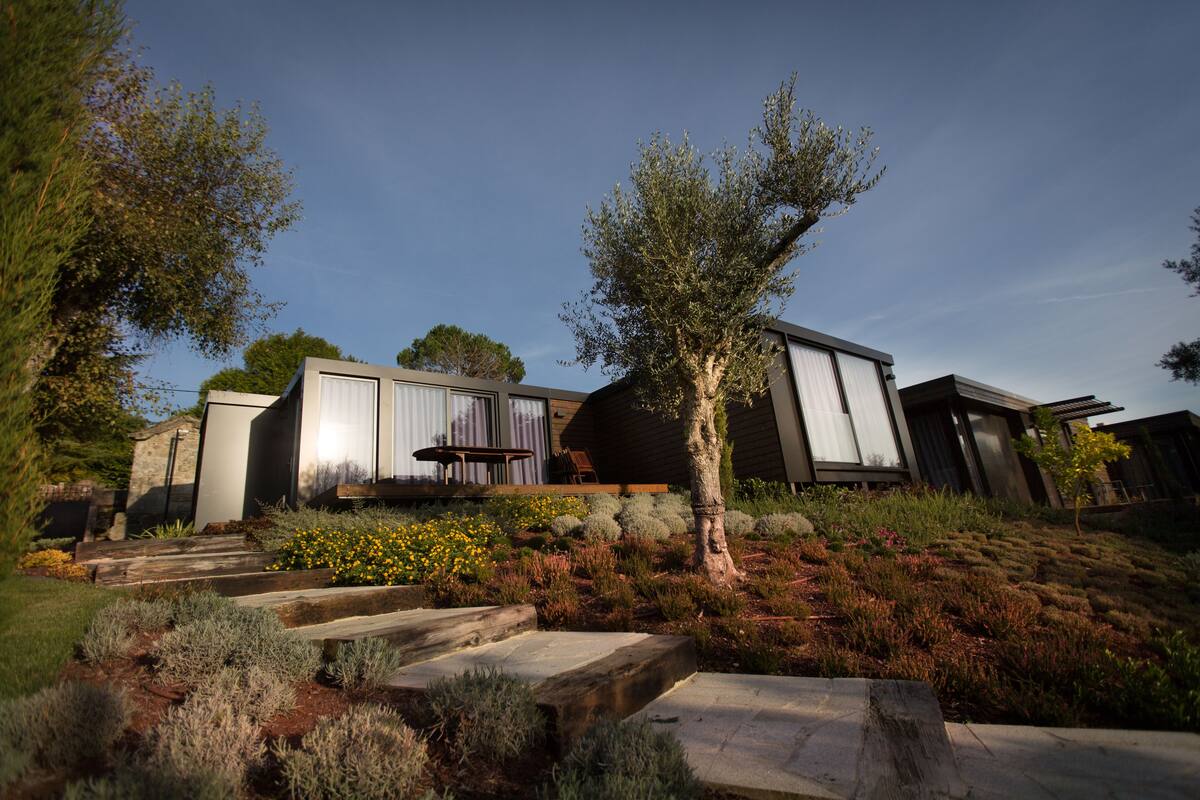 A modern house with a patio, steps, and a garden.