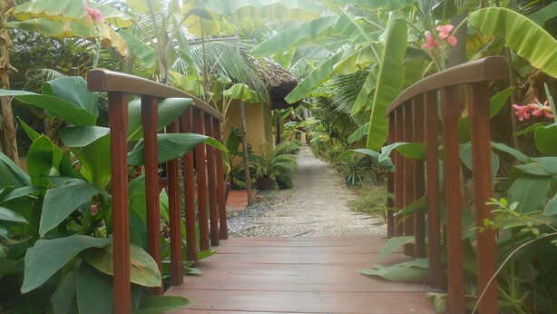 A wooden pathway leading through a lush garden with large green leaves and pink flowers. - Thuy - Gunter Garden Bungalow (Mui Ne)