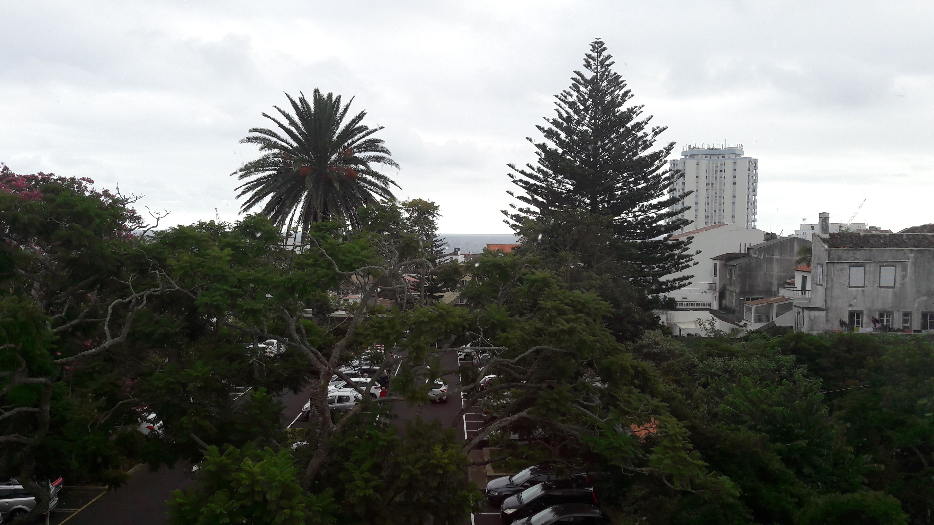 Foto - Room & Go by Lince