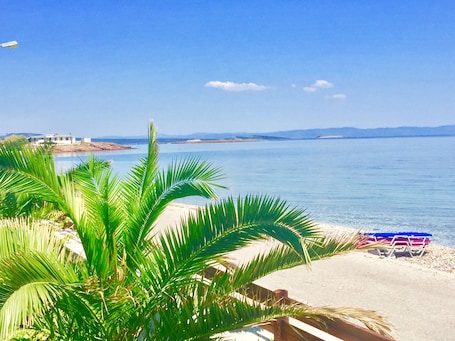 On the beach, sun-loungers, beach umbrellas. Nitelli's Houses