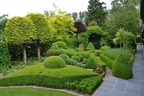 Tuin