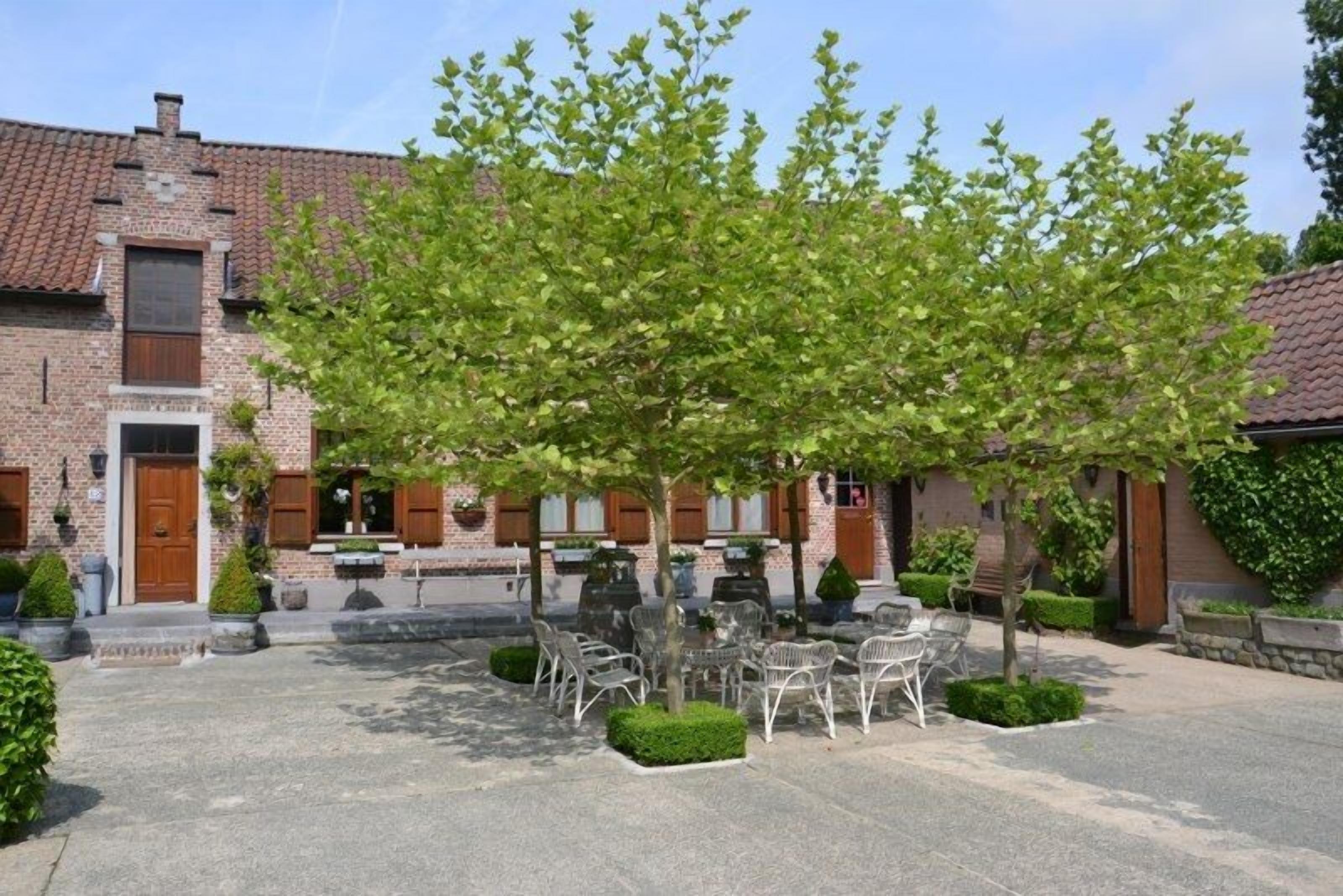 Un patio con mobiliario exterior, edificios de ladrillo y un árbol que da sombra.