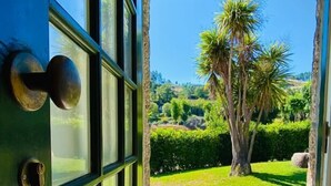 A doorway leading to a garden with a palm tree and a stone pathway. - Aldeia do Tâmega (Amarante)