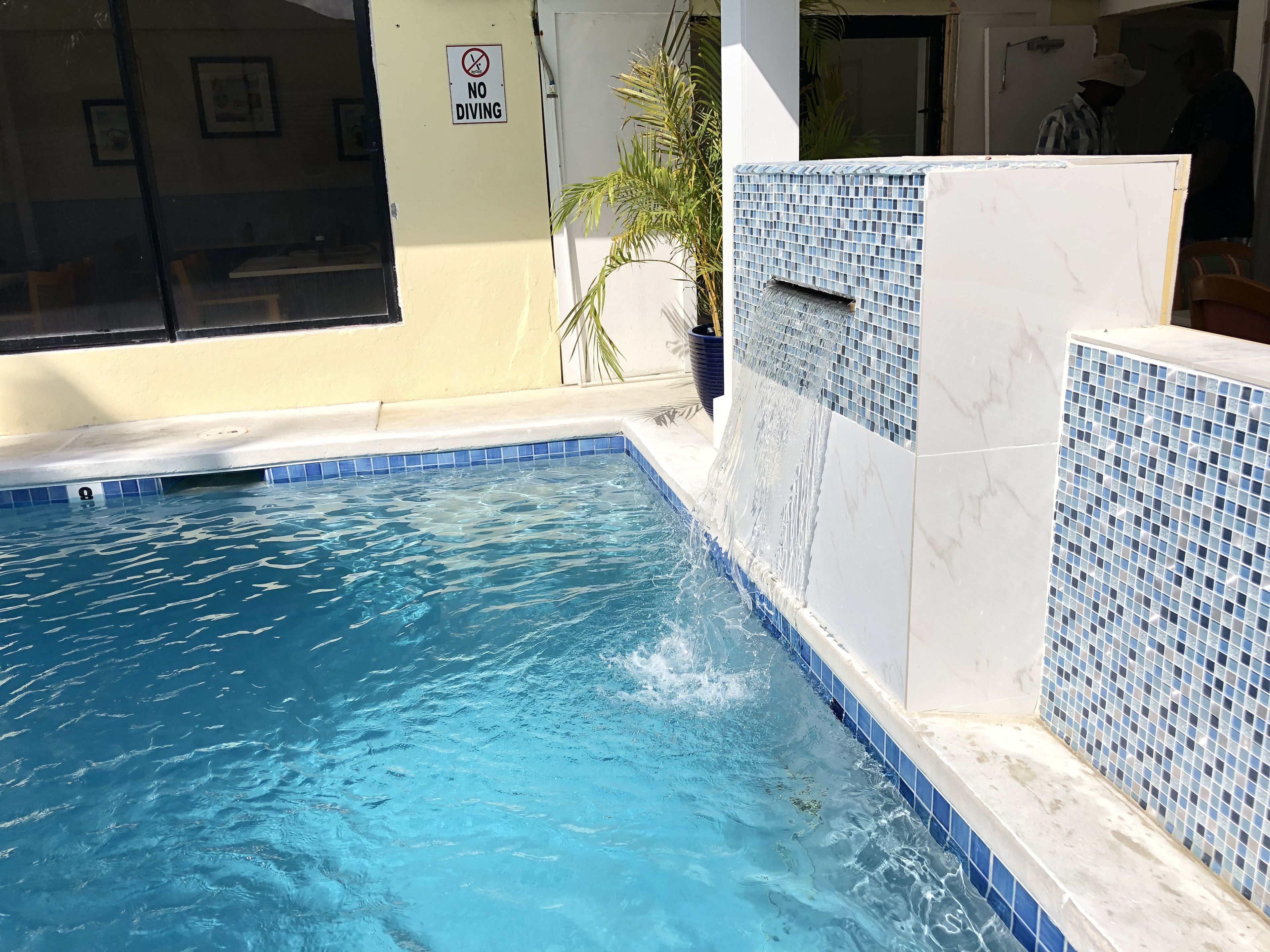 Una piscina con un cartel de 'NO DIVING', un muro con azulejos y una planta en maceta.