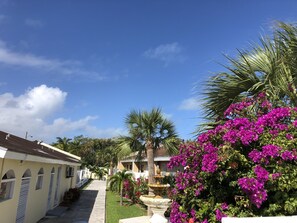 Property grounds - The Colony Club Inn & Suites (Nassau)