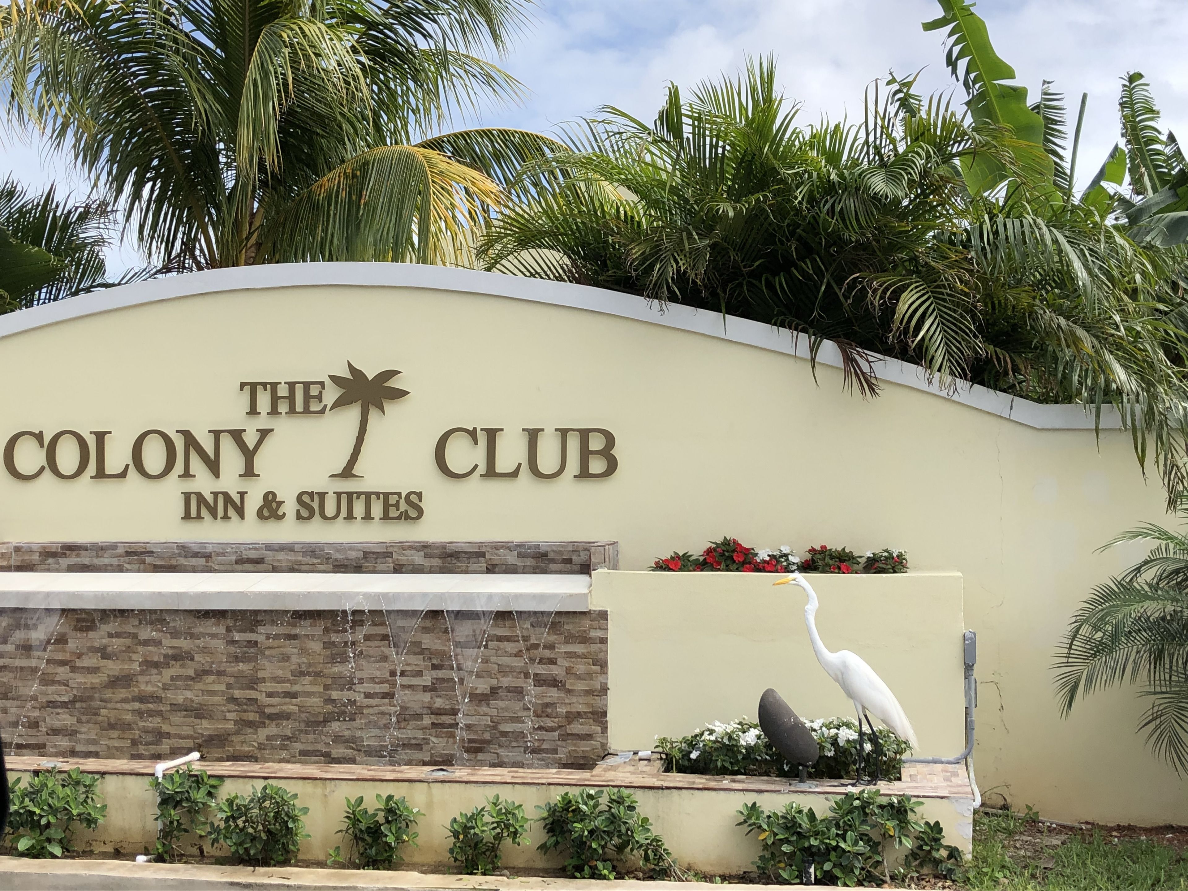 Esterno del Colony Club Inn & Suites con insegna, elemento decorativo a tema acqua e vegetazione tropicale.