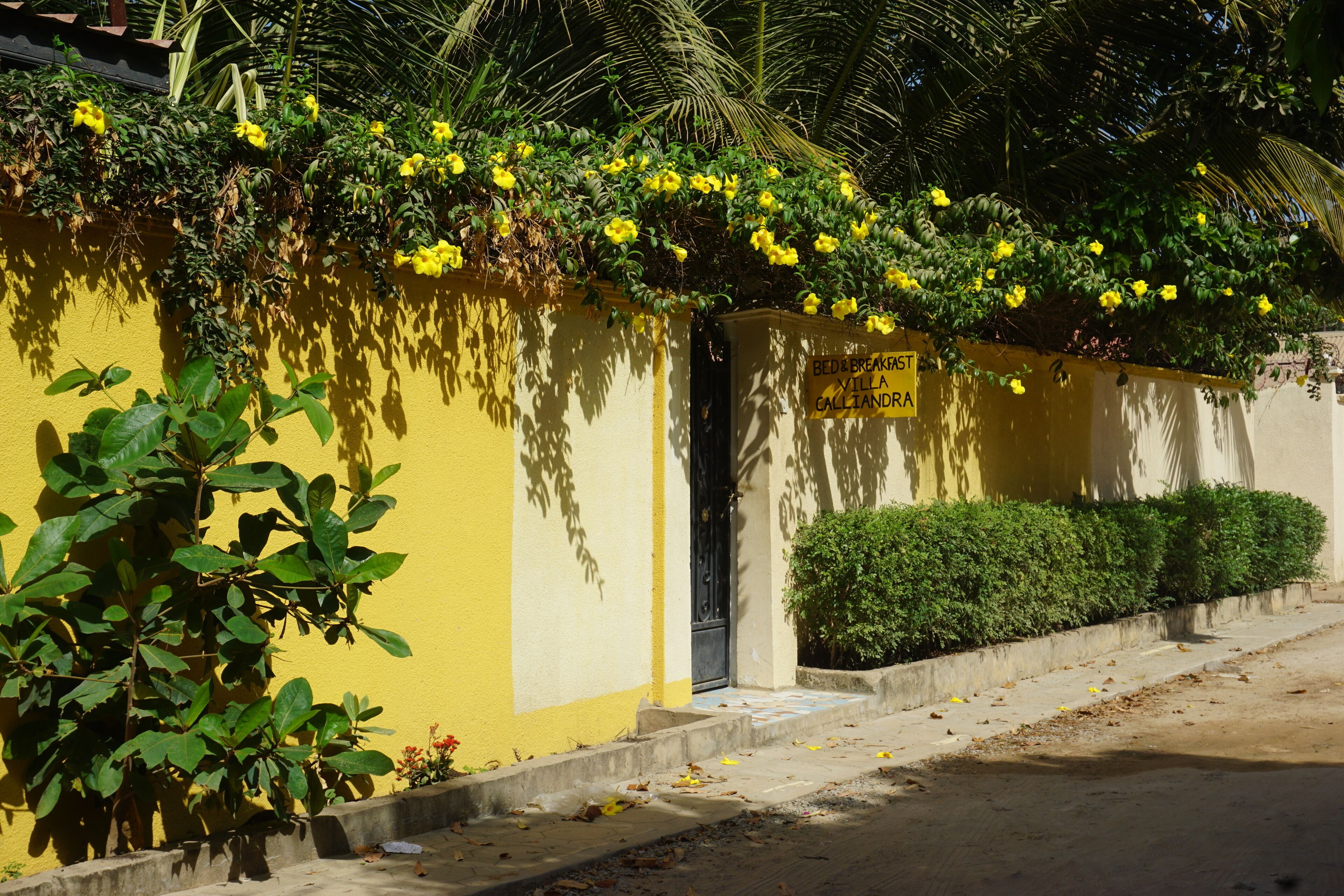 Blick auf die Straße