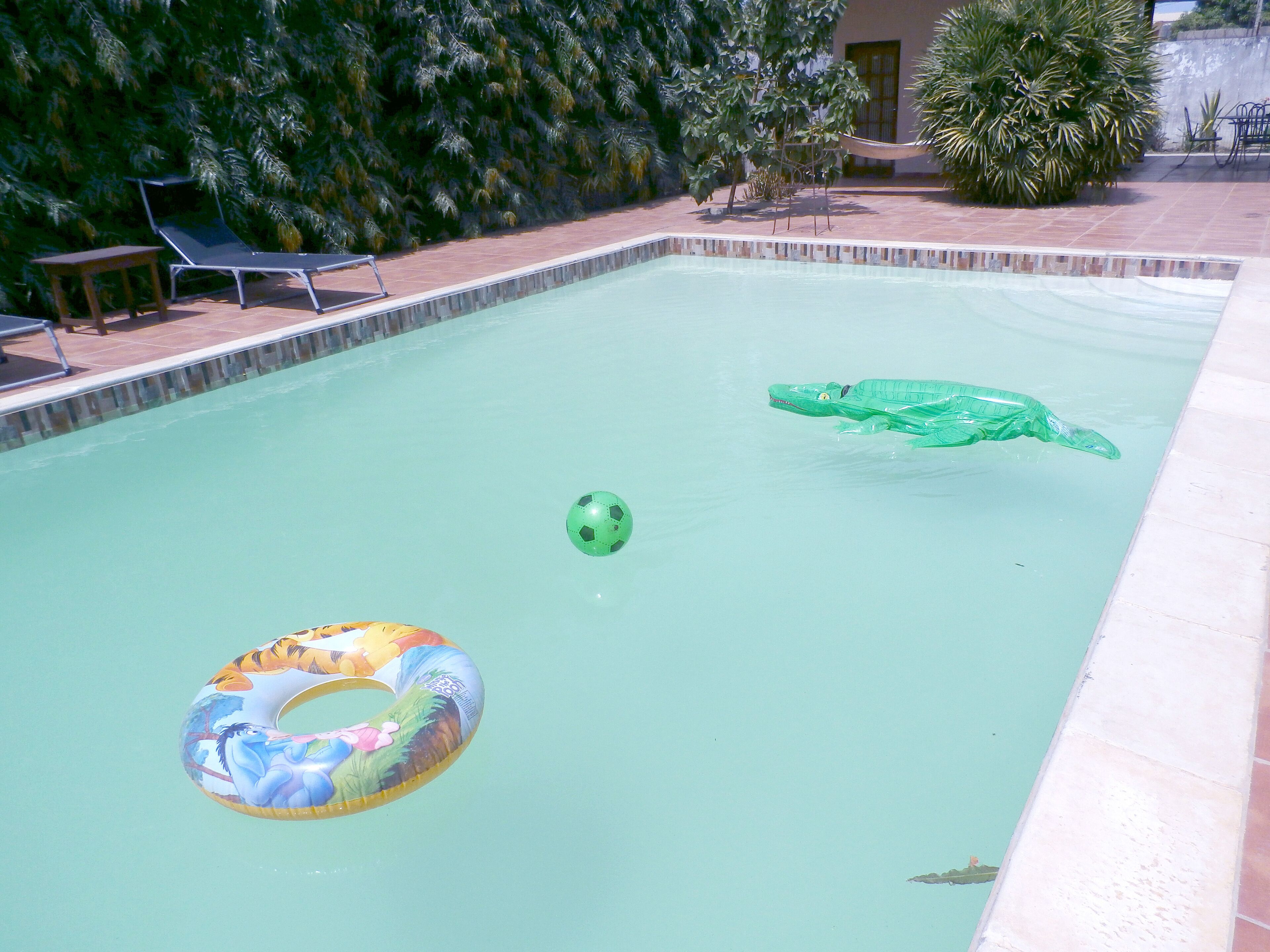 야외 수영장, 09:00 ~ 18:00 오픈, 수영장 파라솔, 일광욕 의자