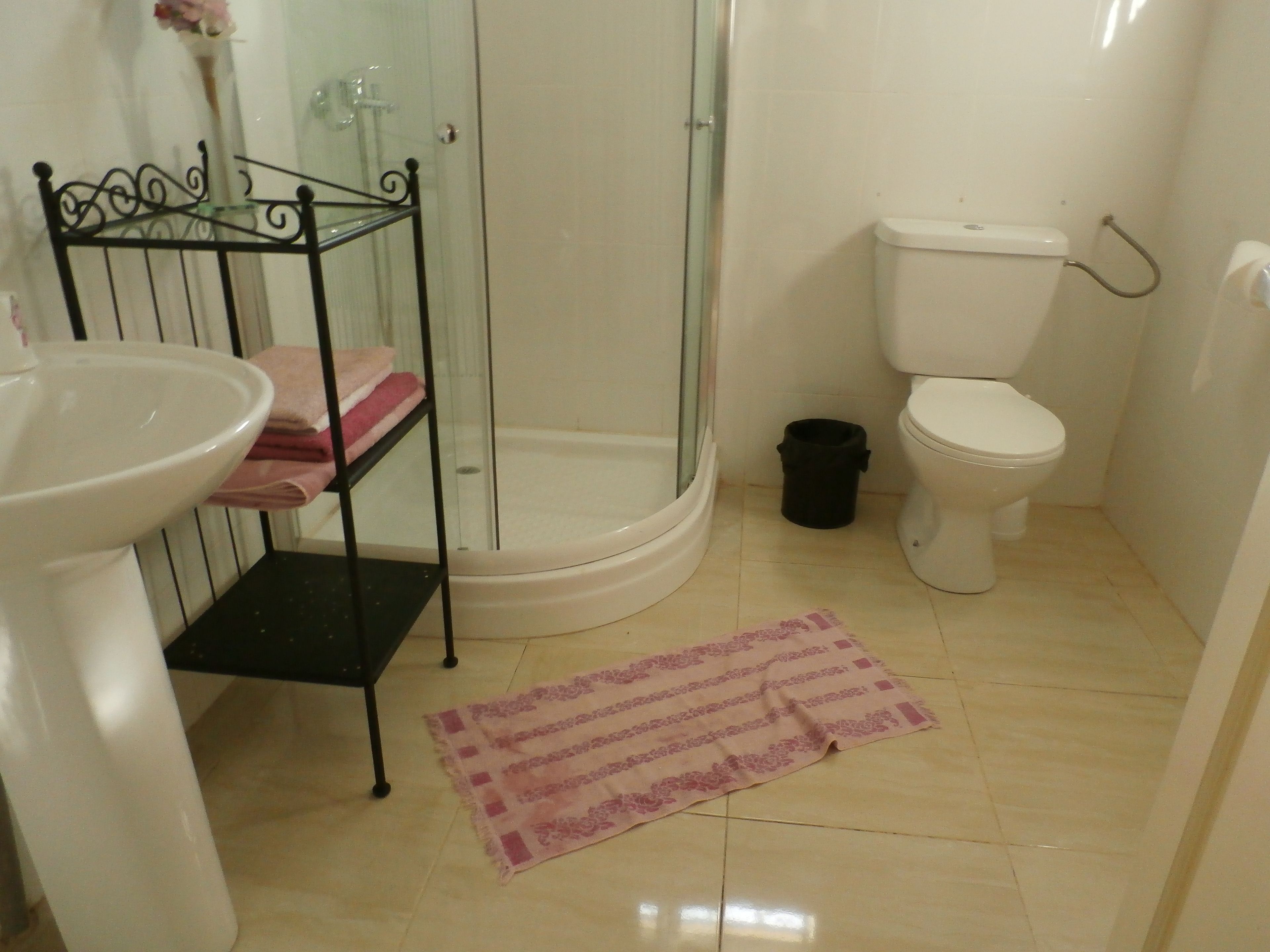 A bathroom with a glass-enclosed shower, a toilet, a sink, and a metal rack with towels.