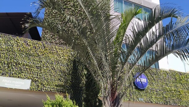 A modern hotel with a vertical garden facade, a palm tree, and a sign indicating the maximum height of the building. - Front Hotel Expominas (Belo Horizonte)