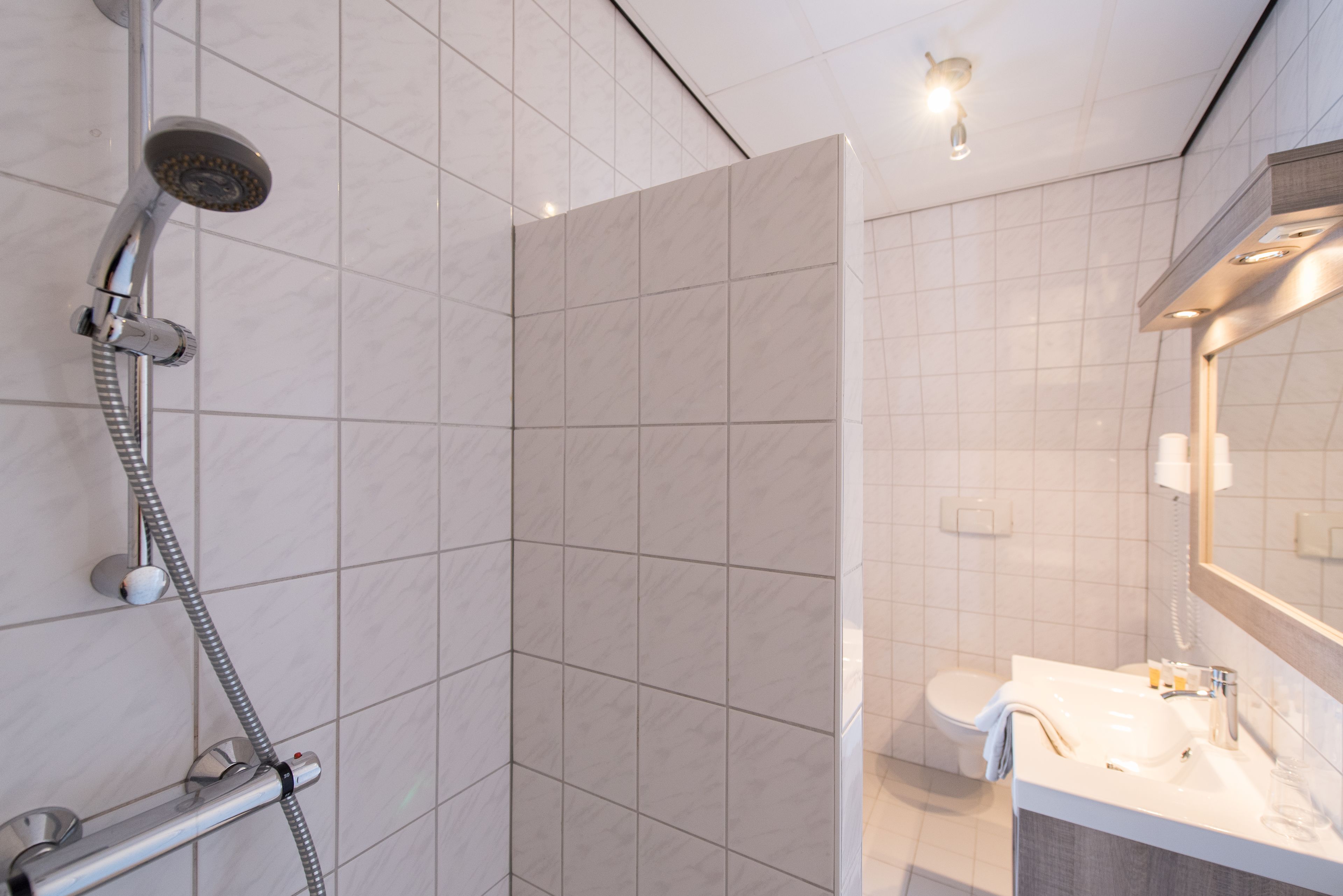 standard double room, 2 single beds | bathroom | shower, free toiletries, hair dryer, towels