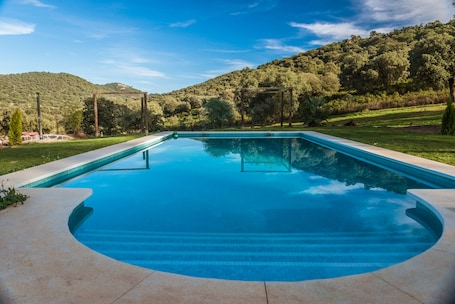 Seasonal outdoor pool, pool umbrellas, pool loungers