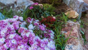 Un jardín con flores y un muro de piedra frente a un edificio con tejado rojo.