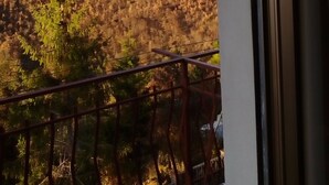 View from room - Hotel Ristorante La Pineta (Scheggia e Pascelupo)